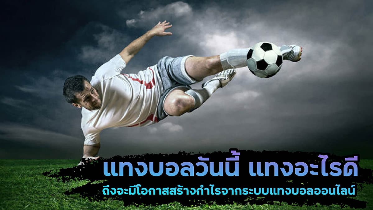 บอลวันนี้